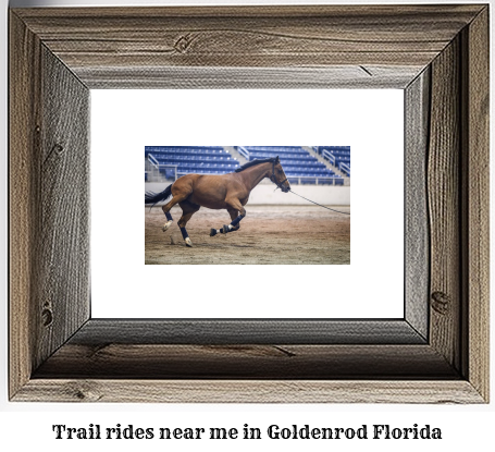 trail rides near me in Goldenrod, Florida